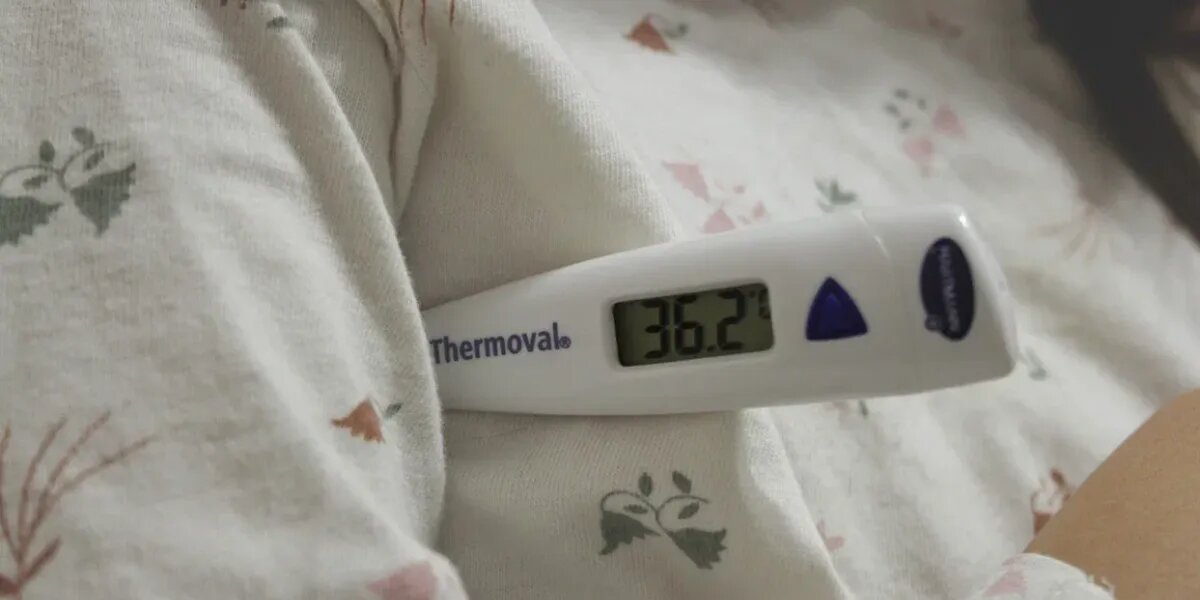 фото редакции