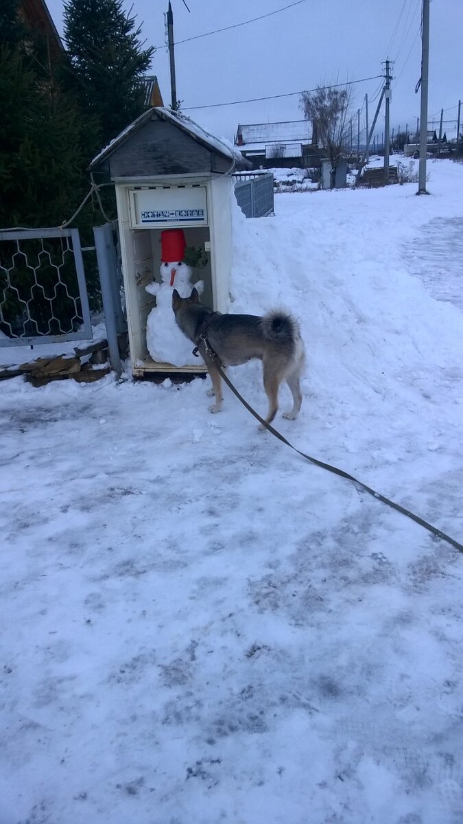 Здравствуйте, вы не замёрзли?