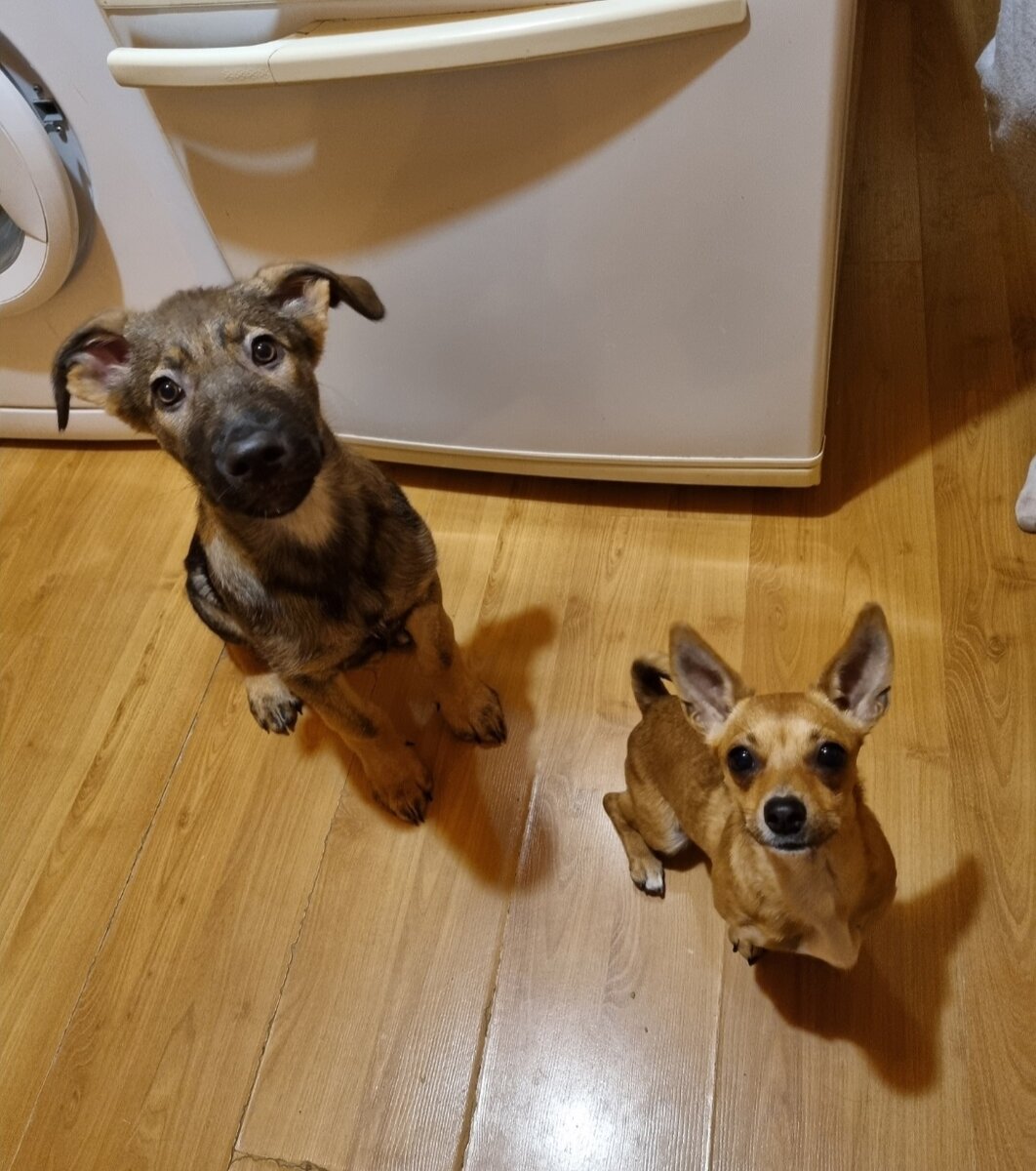 А это наш приём пищи