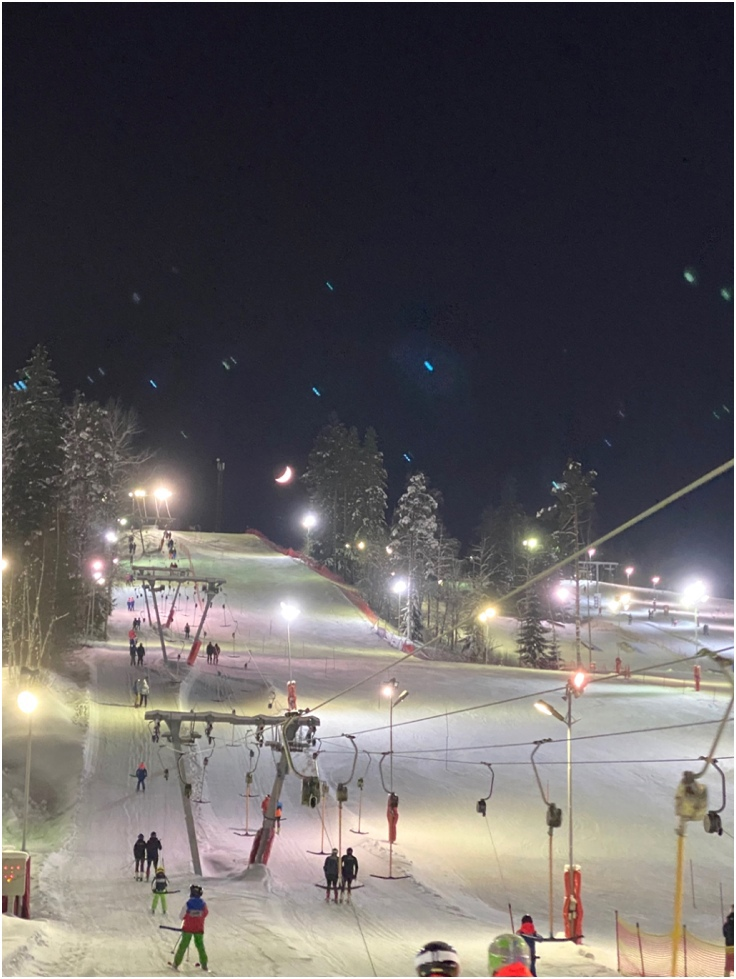 Бугельный подъемник ГК Снежный в Коробицыне 