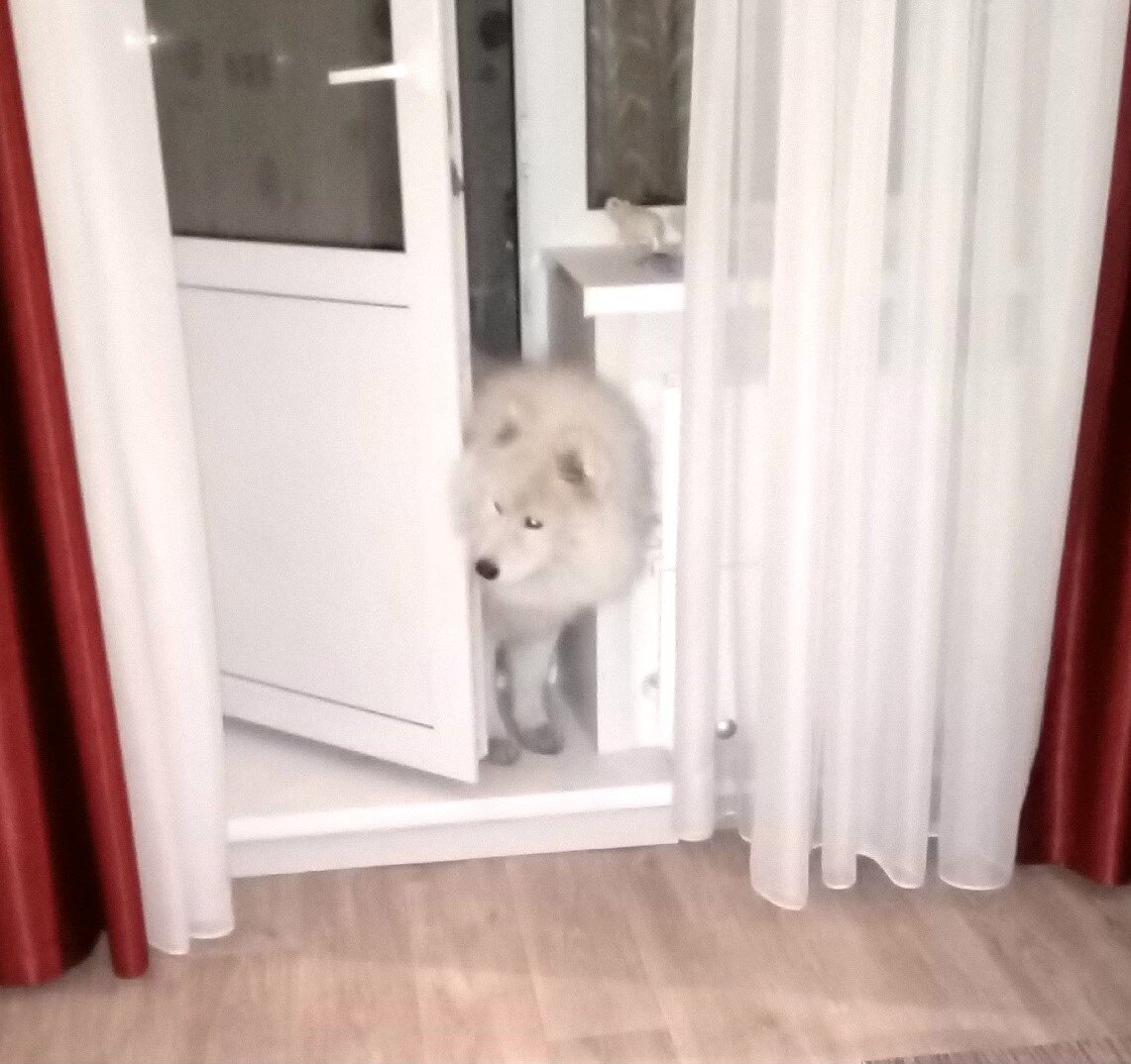 Как то здесь тесновато