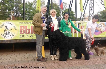 02.12.2022

Всеволожская земля богата людьми мощными, цельными, отвечающими за свои слова, профессионалами своего дела. В числе таких людей и Михаил Сиваков, который всю свою жизнь посвятил братьям нашим меньшим. Благодаря его стараниям вот уже пятнадцать лет во Всеволожске на Юбилейной площади проходит увлекательное и зрелищное мероприятие – выставка собак.