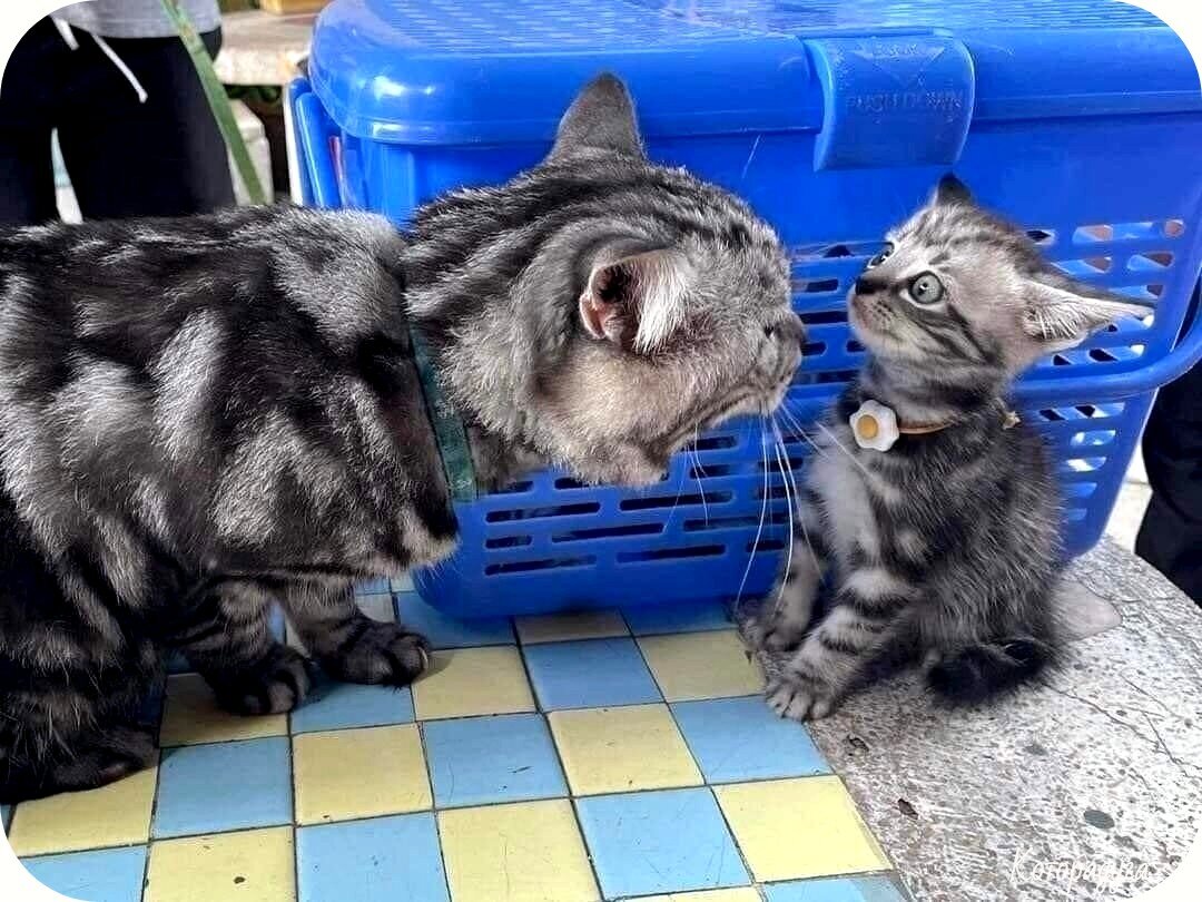 Посмеялся сам - поделись с другом!!!