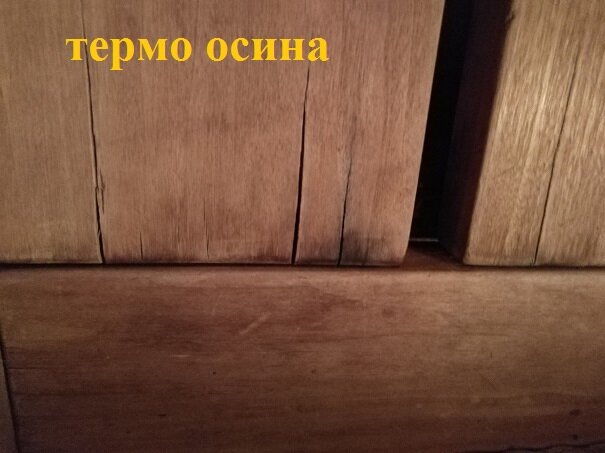 Термо осина 