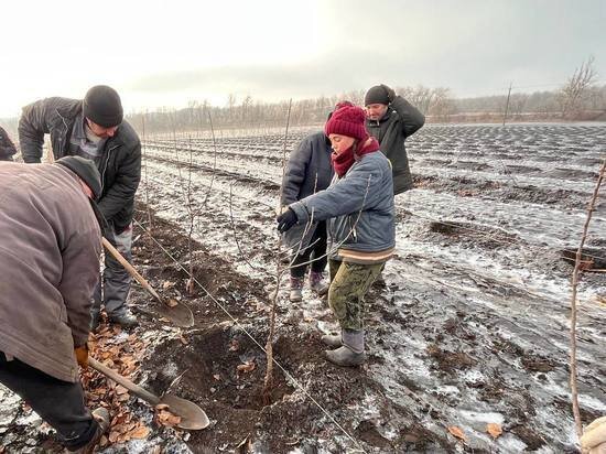    фото: Телеграм-канал "Хоценко о важном"