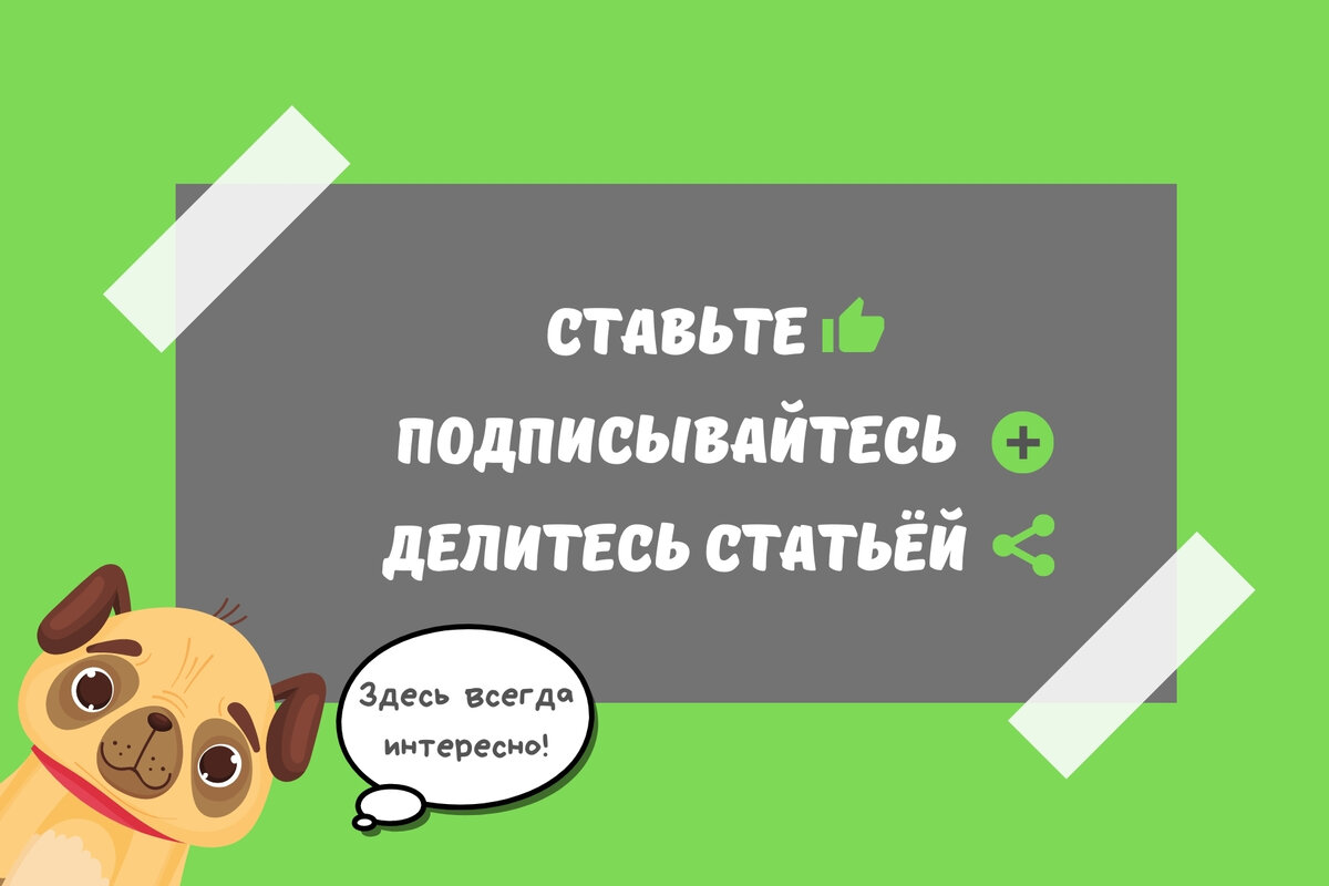 Нелепые, странные и смешные законы о животных из разных стран | По  чуть-чуть о разном | Дзен