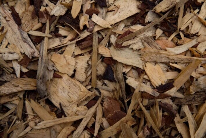 Фото из открытого источн