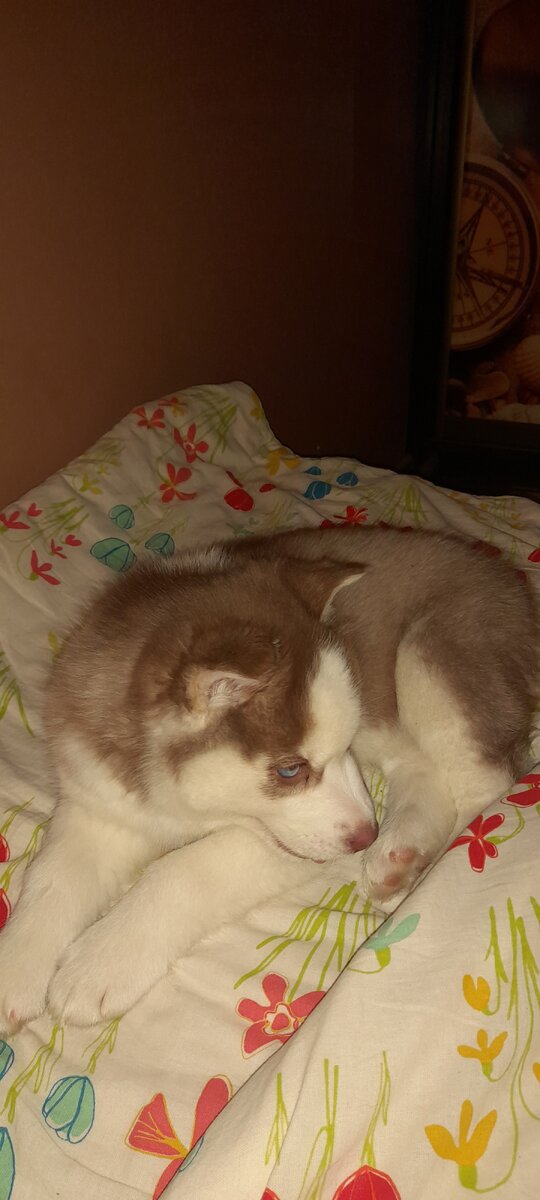 Временами и на кровати полежать хорошо)