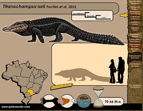 Вероятный размеры титанохампсы.