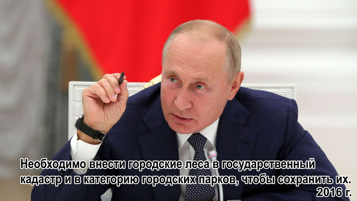 Президент В.В.Путин о статусе городского леса
