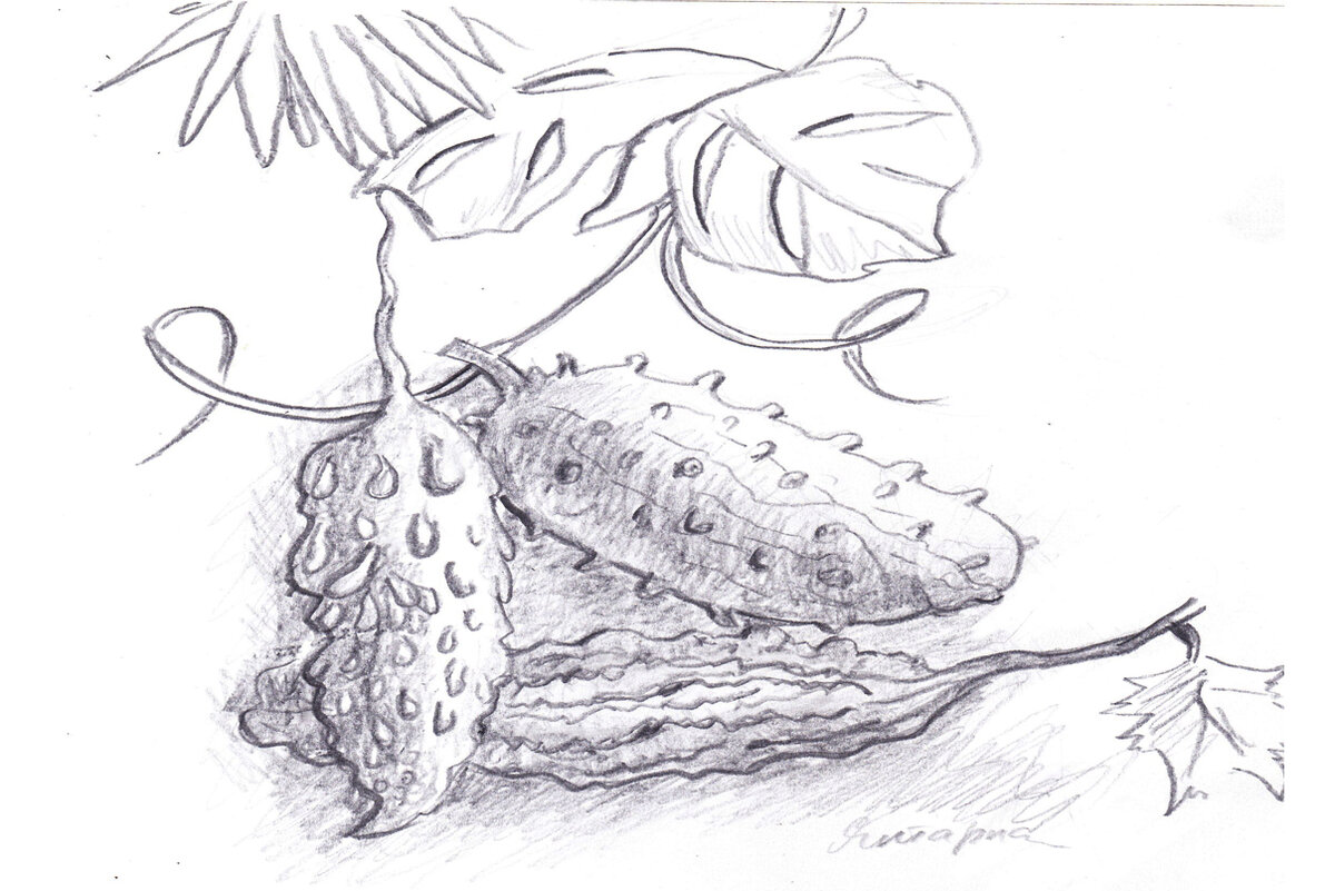 Иллюстрация автора.