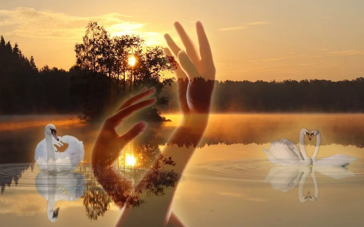 Яндекс.Картинки