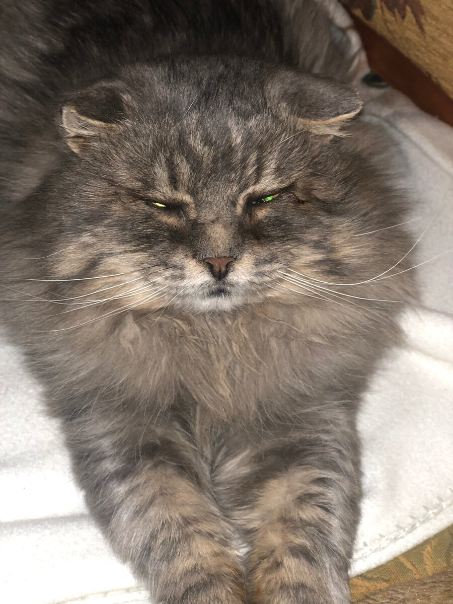 Чего бы еще такое придумать в Новый год! Везде фото автора.