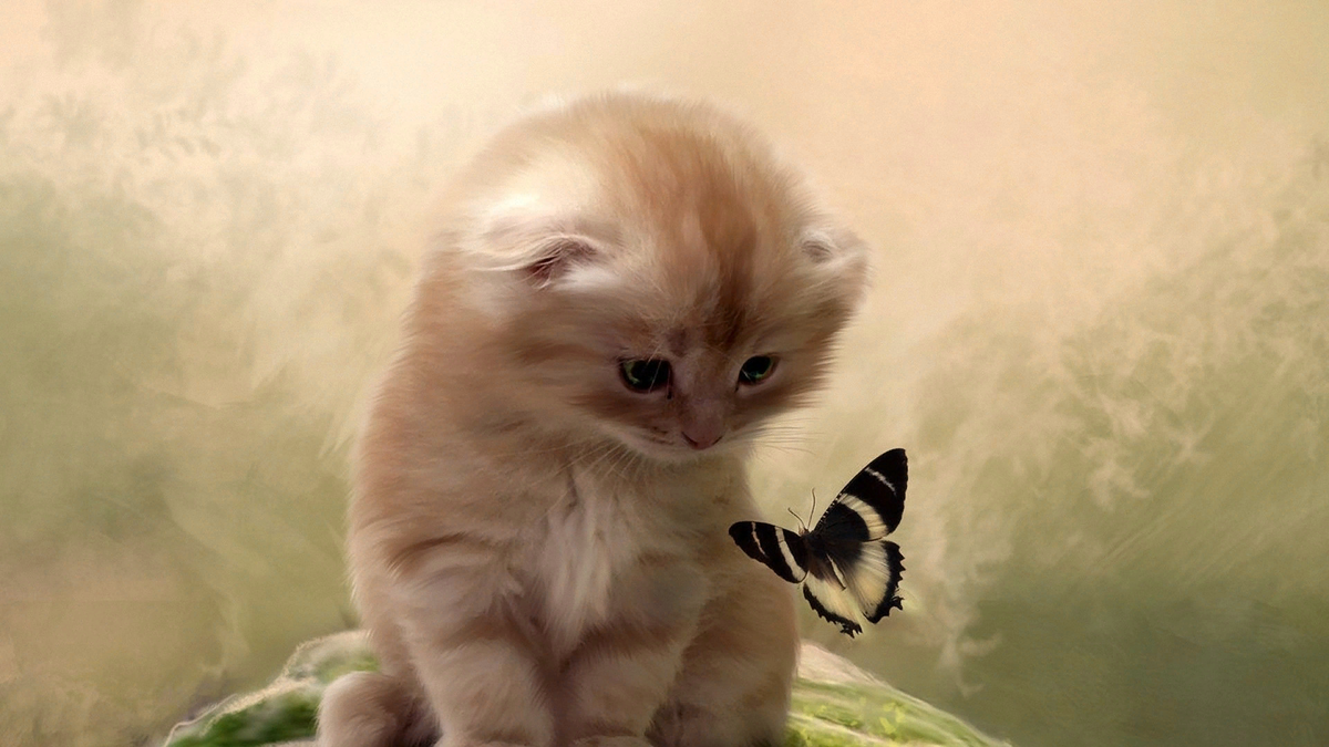 Яндекс.Картинки