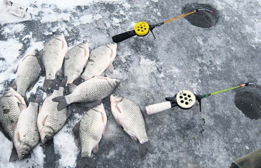 Карась по холодной воде. Зимняя рыбалка. Зимняя рыбалка на карася. Снасти для зимней рыбалки. Рыбалка на карася зимой.
