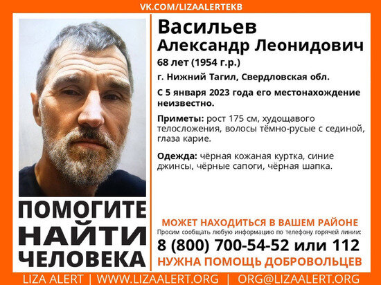     Фото: поисковый отряд "ЛизаАлерт".