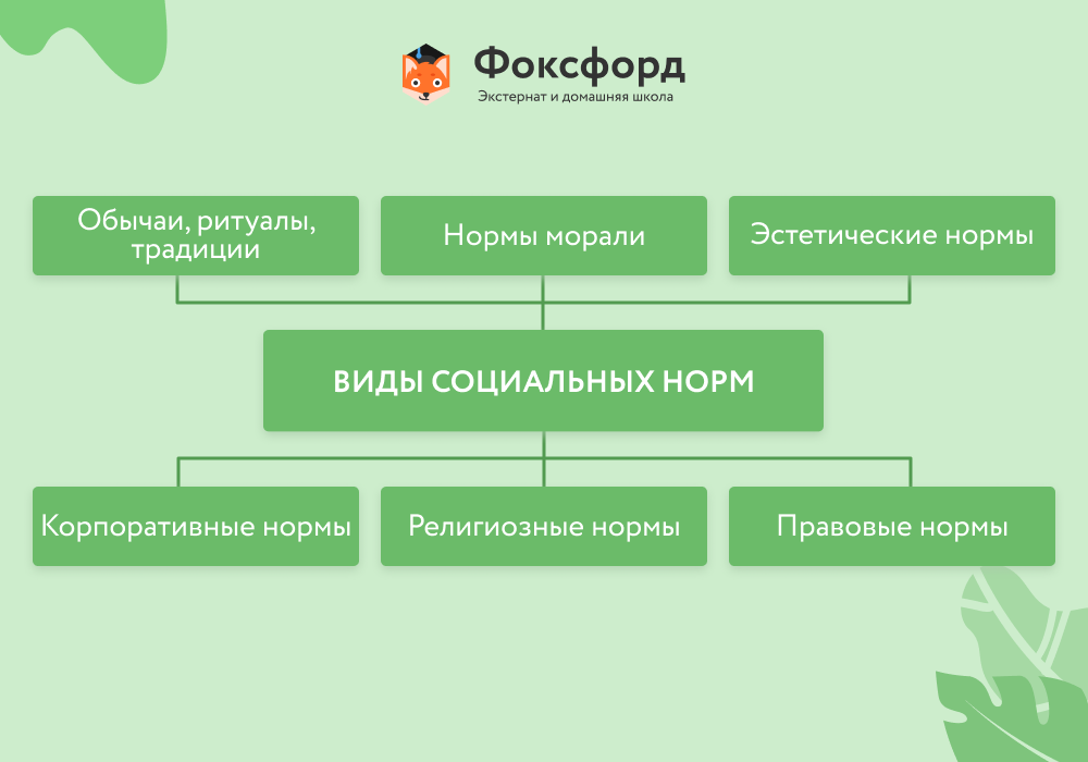 Социальные нормы