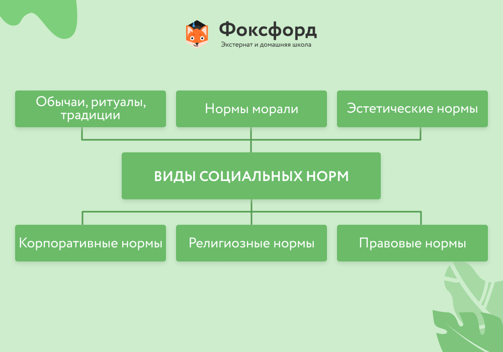 Какие признаки социальных норм названы в тексте