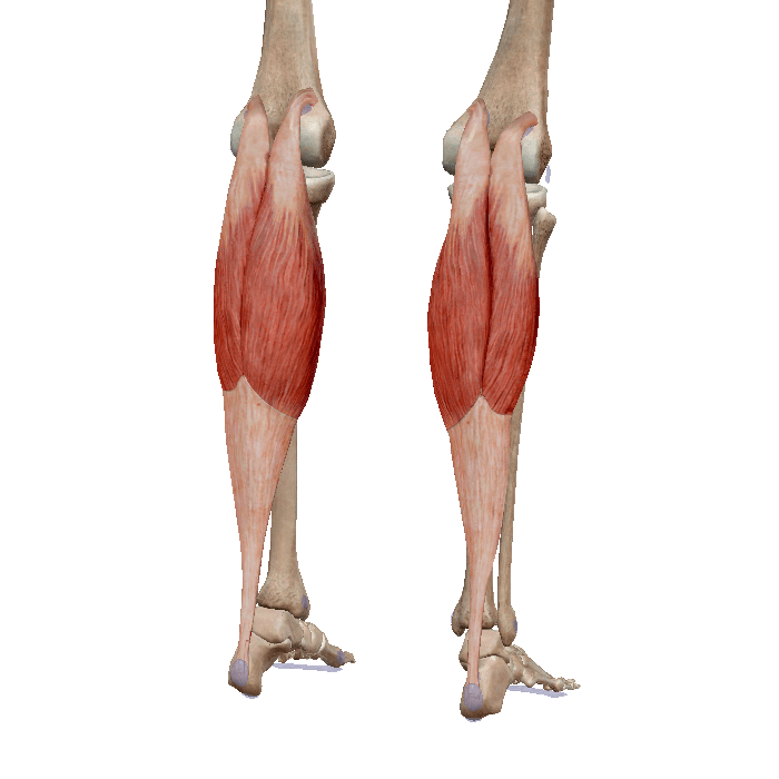 Чем лечить артроз коленного сустава? | Сам Себе Ортопед. Спб. | Дзен