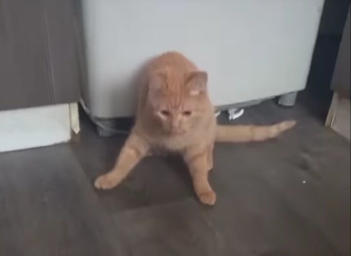 -2