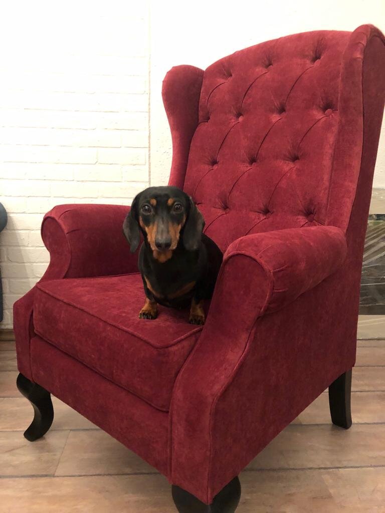 Настоящие сокровища - прямо у вас под ногами! Как мы нашли роскошные ...