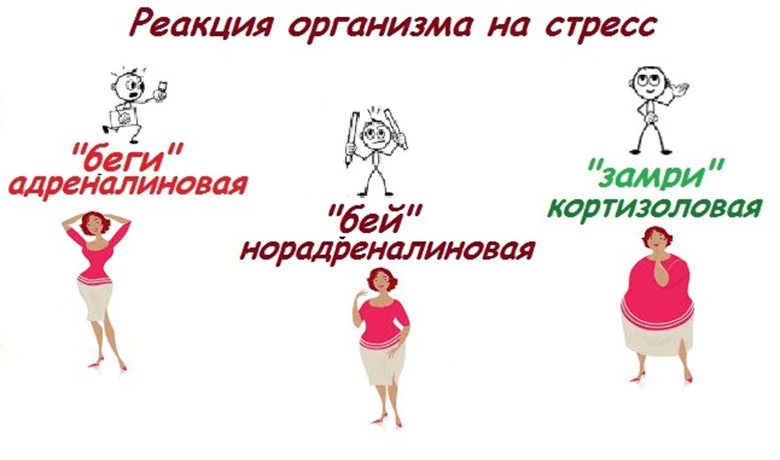 Это основные инстинктивные реакции на стрессовые ситуации, записанные в подсознании.