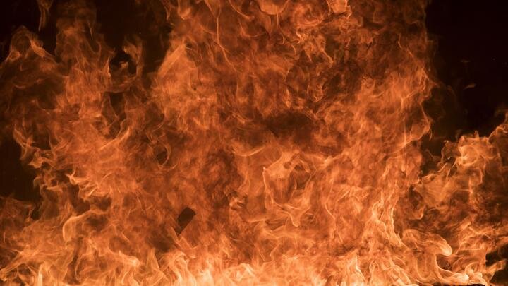 ФОТО: FLPA/WAYNE HUTCHINSON/GLOBALLOOKPRESS