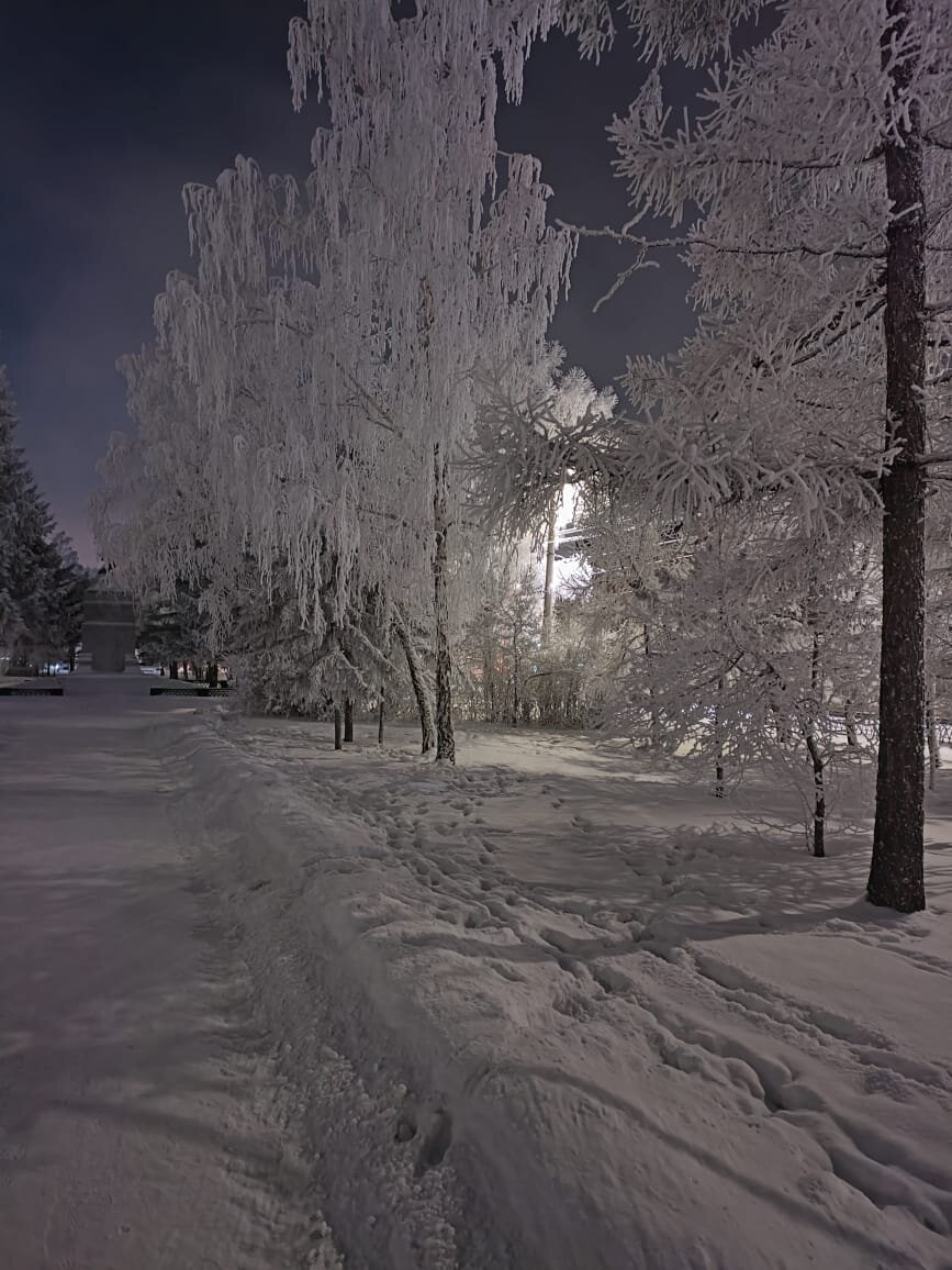 Личное фото. Опять метель...