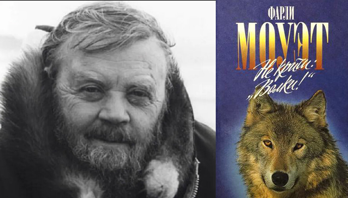  Фарли Моуэт и его книга Не кричи: "Волки!"