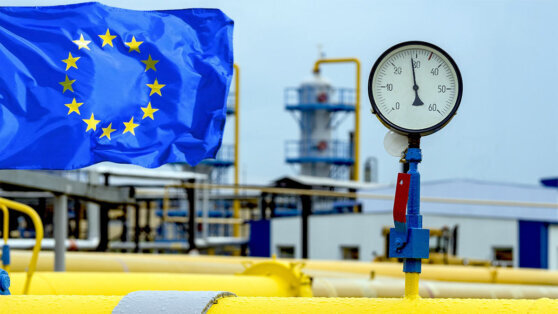   В Европарламенте допустили переговоры с Россией по поставкам газа Анна Белая