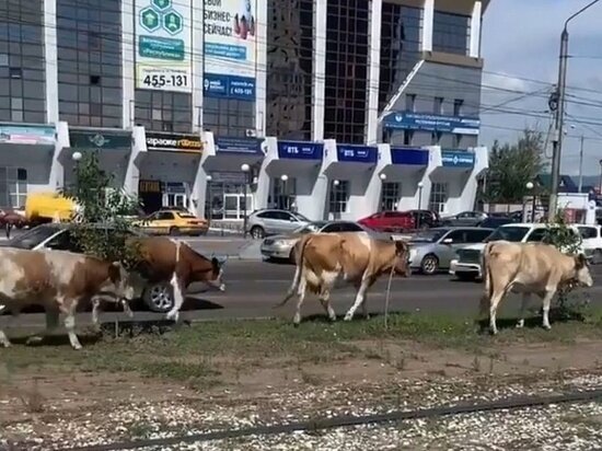     ФОТО: ПРЕСС-СЛУЖБА МЭРИИ УЛАН-УДЭ