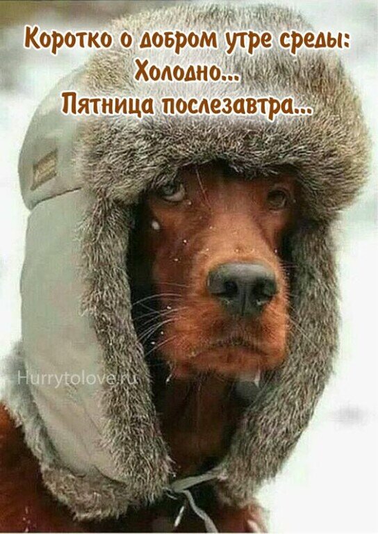 вот такое у нас доброе утро)) (кто-то прислал в вотсап)