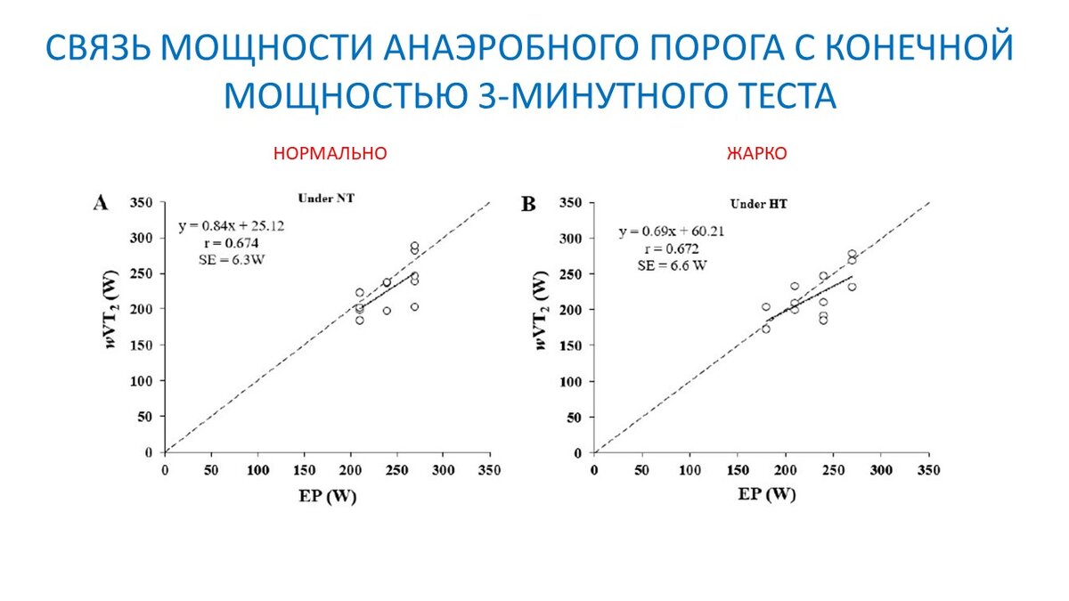 Температура окружающей среды и показатели выносливости | Василий Волков |  Дзен