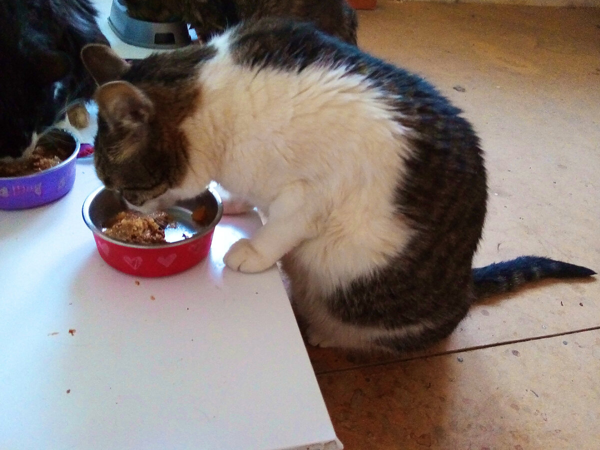 Фото автора