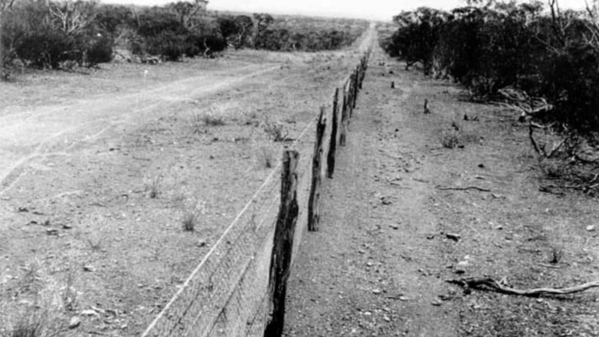 Фото заграждения, сделанного в 1927 году. Общественное достояние: https://commons.wikimedia.org/w/index.php?curid=430574