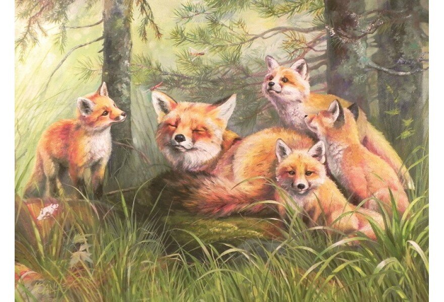 Почтовая открытка «Влюблённые лисы»