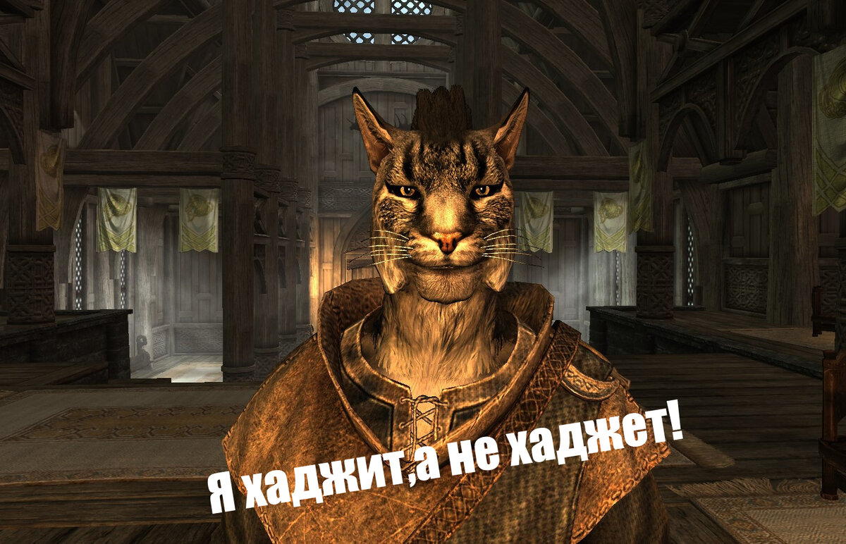 История The Elder Scrolls. Забавный факт по итогам комментариев первой  статьи | IMAGOZ.ru | Игры и технологии! | Дзен