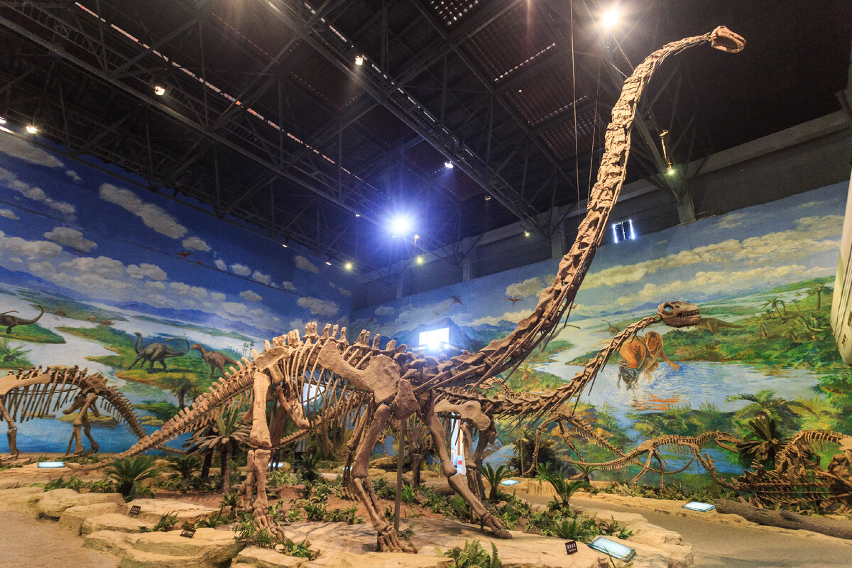 Кости динозавров из музея