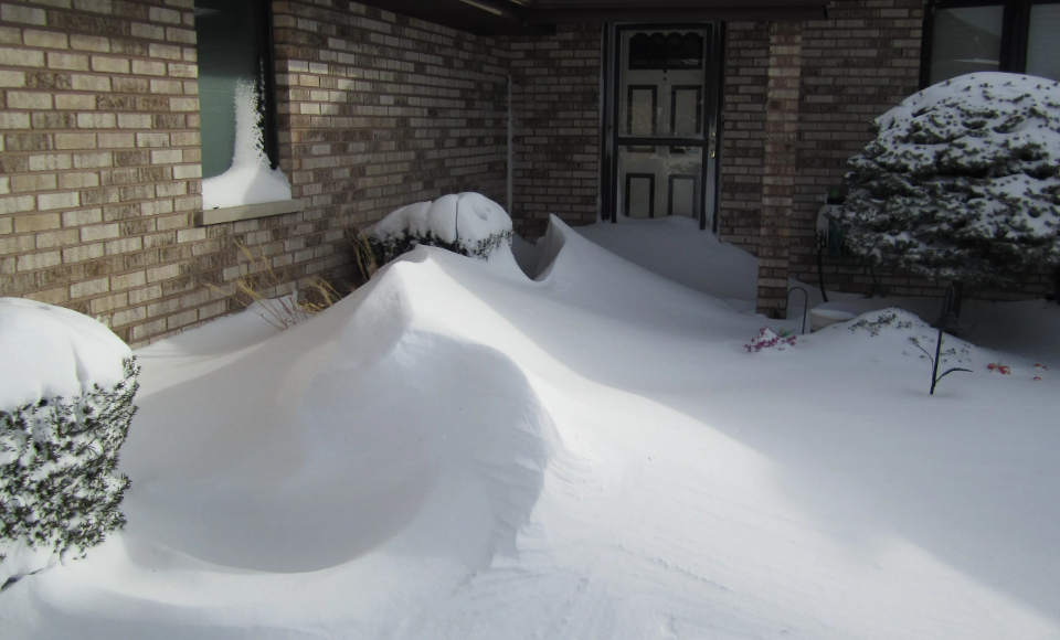 Фотография взята из источника pxhere.com 