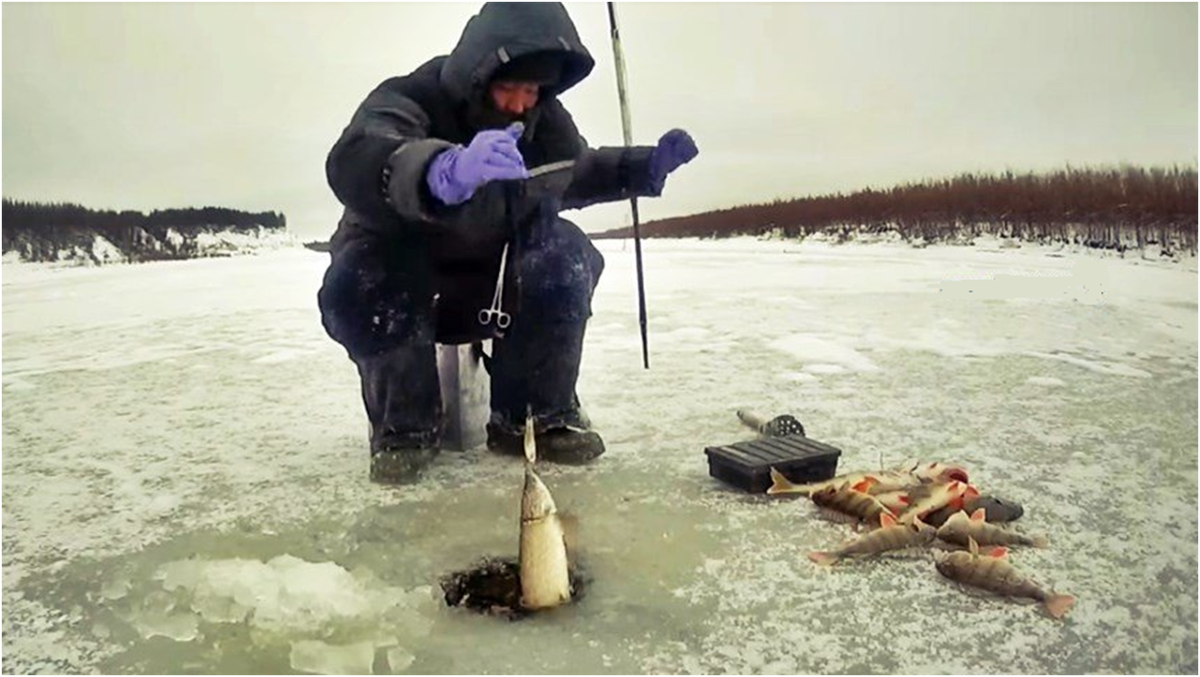 На рыбалку с утреца и заепца. Зимняя рыбалка. Подледная рыбалка. Рыбак зимой. Зимняя рыбалка на реке.