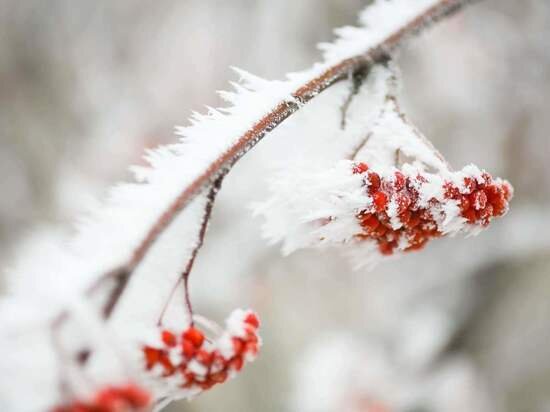 © ФОТО: ИД «ВОЛГОГРАДСКАЯ ПРАВДА» / КИРИЛЛ БРАГА / АРХИВ.