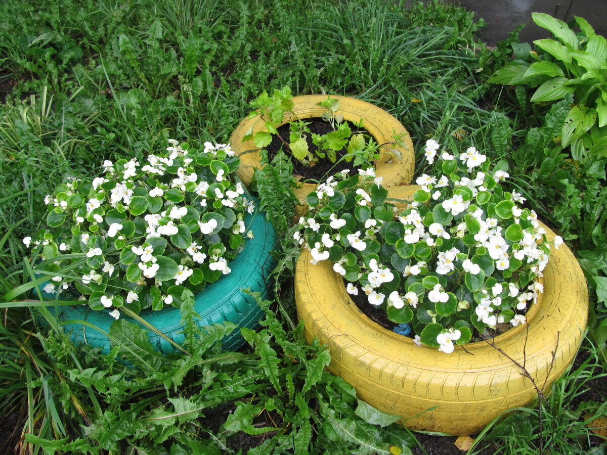    Клумбы из шин популярны у дачников. Фото пользователя Незнанова Наталья