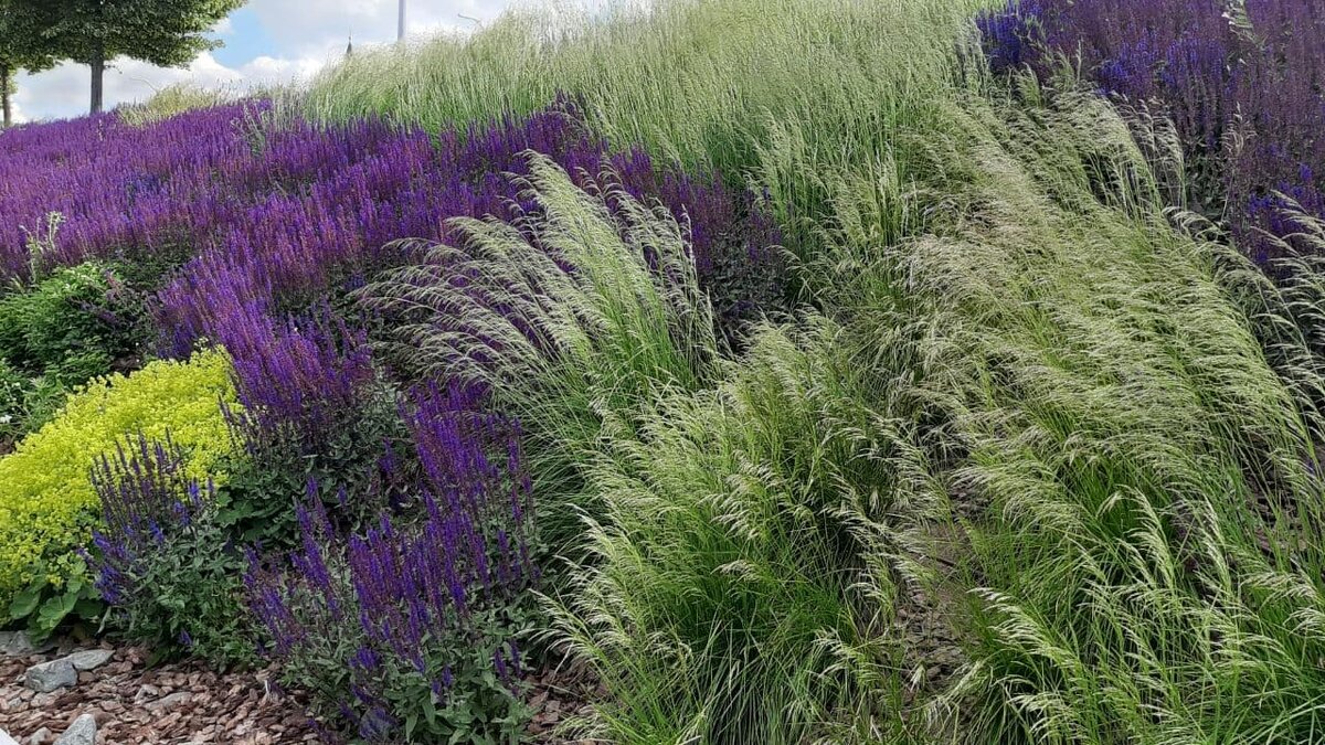 Фото из архива автора