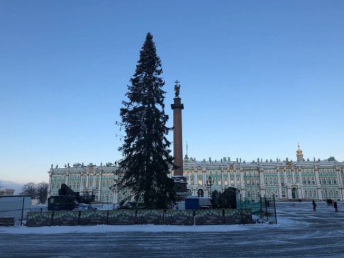 Фото из открытого источника