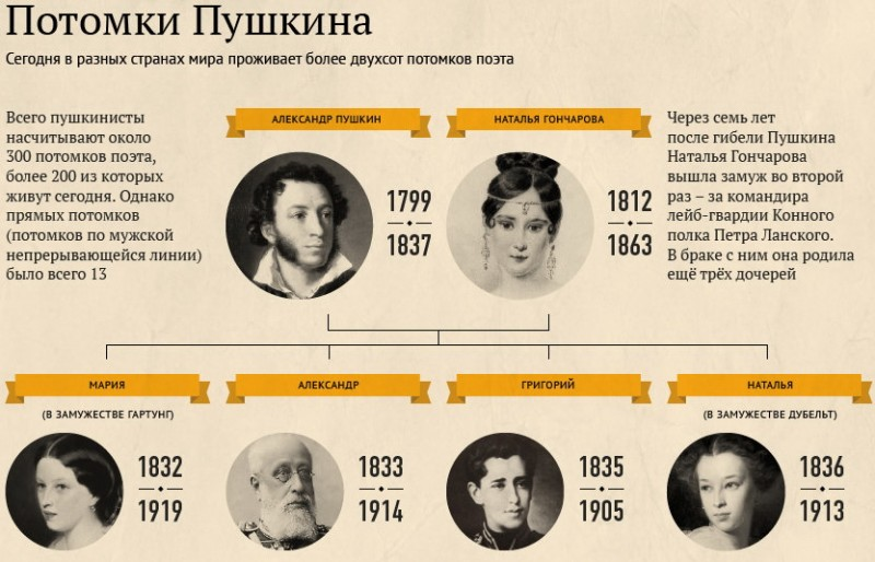 У пушкина было 113 девушек. Пушкин родословная потомки Пушкина. Потомки Пушкина в наши дни генеалогическое Древо.