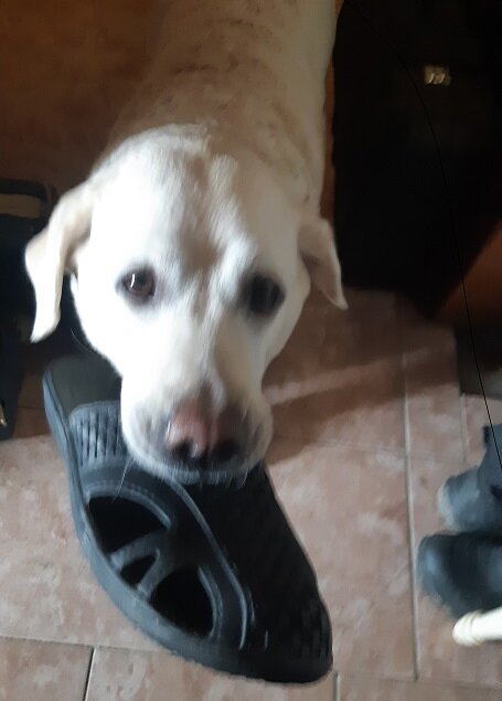 Так вертится, что камера не успевает сфокусироваться