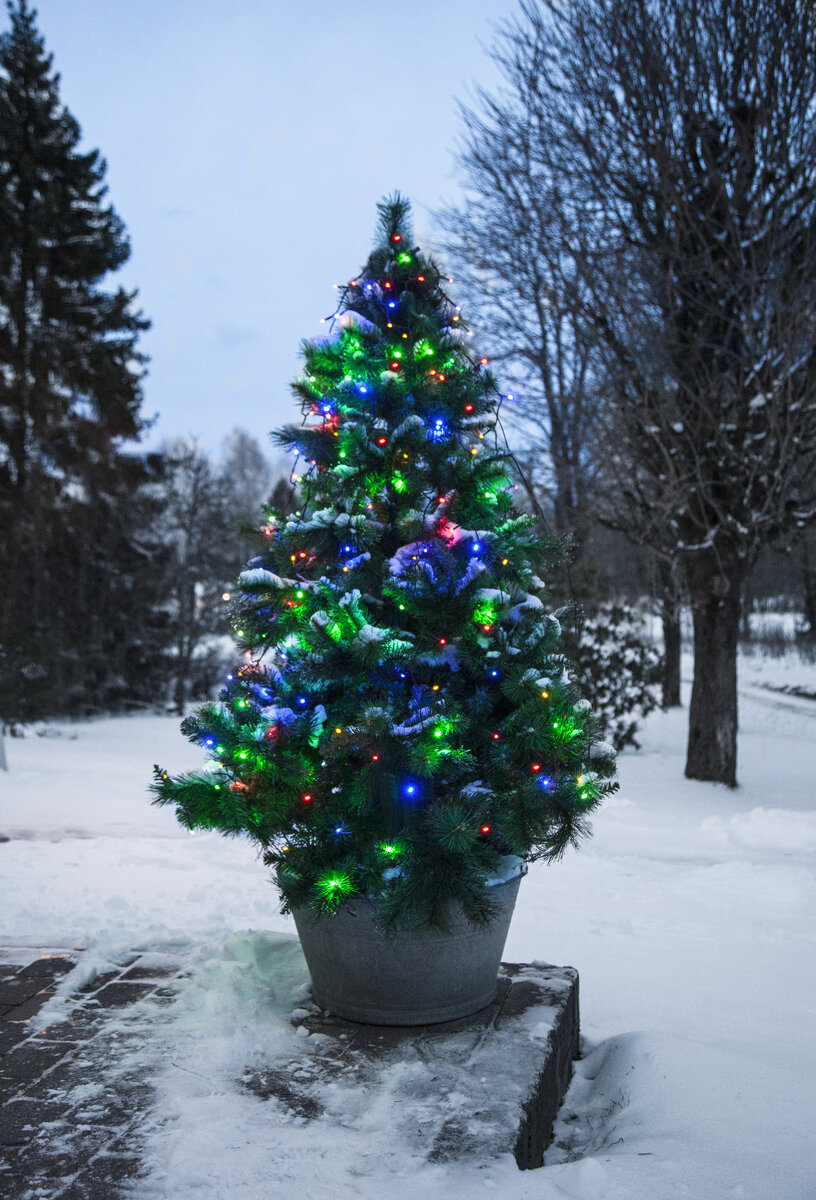 Рождественская елочка с разноцветной гирляндой.