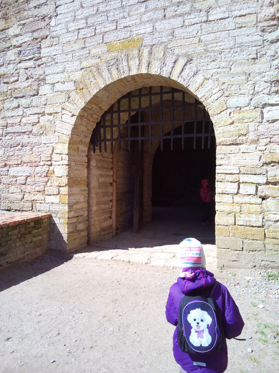 Ворота с решеткой 