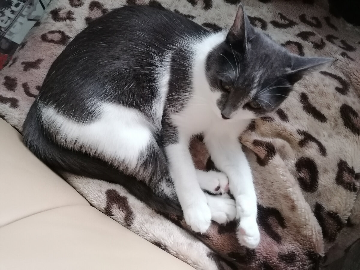 Кресло моё, я его в восемь утра заняла!