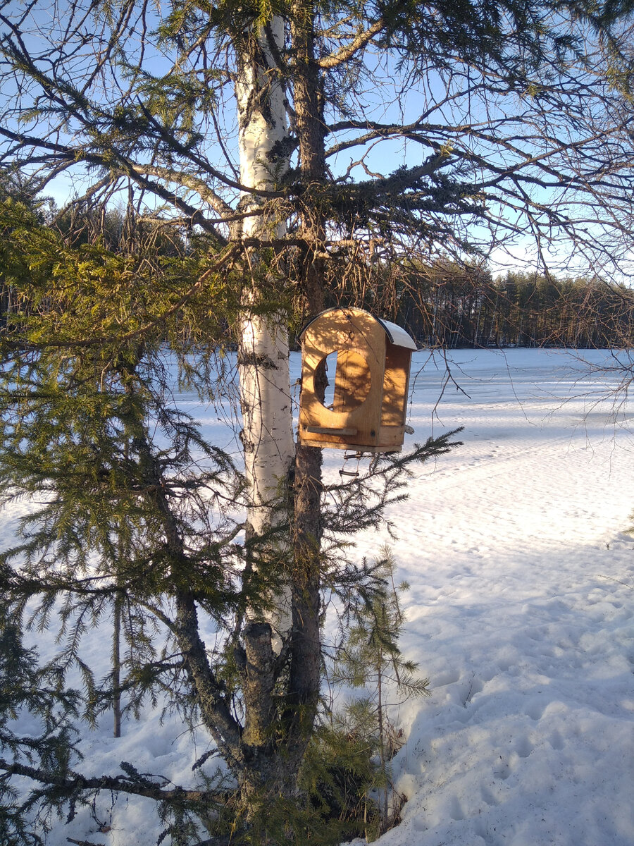 Кормушка на дереве